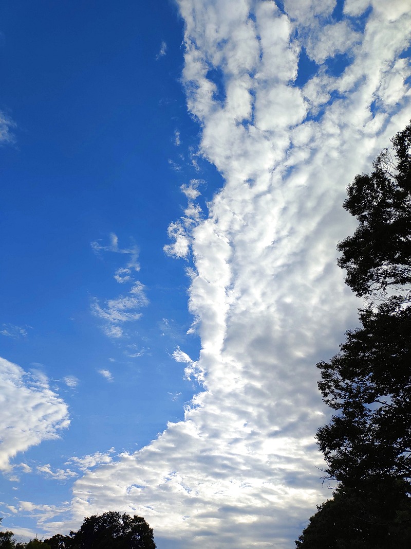 青空と夏の雲